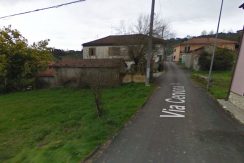 algenti